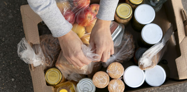 Recogida de alimentos