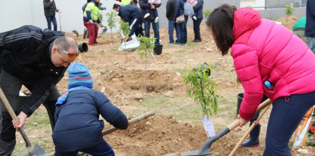 Día del Árbol Iberext 2017